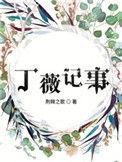丁薇记事TXT