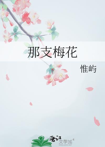 那一束梅花