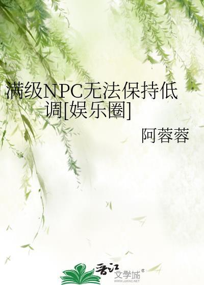 我是满级npc