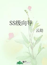 SS级向导全部人物图鉴