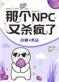 那个npc又杀疯了 边巡全文免费阅读