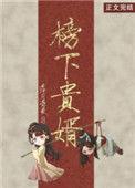 榜下贵婿全文阅读