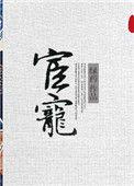 宦宠多少字