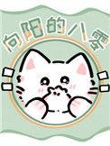 向阳的八零年代