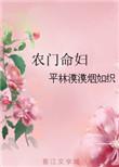 农门命妇txt