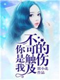 你是我不可触碰的风