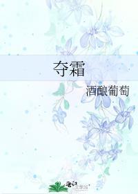 夺霜女主和男主有孩子吗