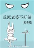 反派老婆不好做 人物介绍