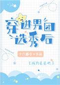 穿进男团选秀后成了万人迷