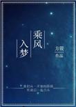 乘风入梦完整版