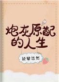 炮灰原配的人生快穿txt