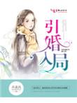 引婚入局讲的什么
