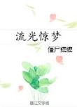 流光惊梦TXT