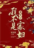 重生之我不是寡妇作者果冻酒