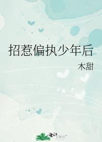 招惹偏执少年后江风寄月txt