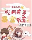重生空间九零年代