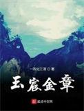 玉宸金章 优书网