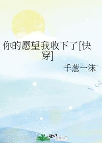 你的愿望我收下了[快穿