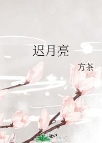 迟月亮txt
