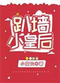 趴墙小皇后免费阅读