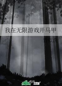 我在无限游戏开马甲二山云