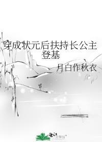 穿越成了状元夫人的