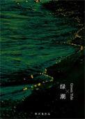 绿潮攻略