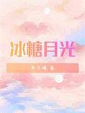 冰糖月光讲的什么