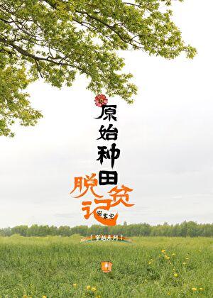 原始种田长篇