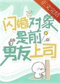 闪婚对象是前男友上司by冻湖水笔趣阁