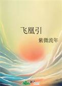 飞凰引 紫微流年txt
