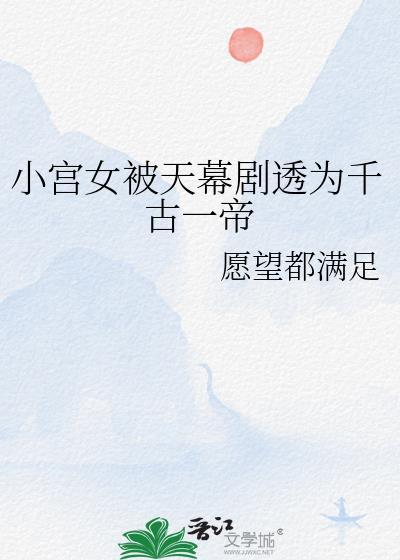 小宫女的电视剧