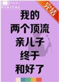 两个顶流结婚以后