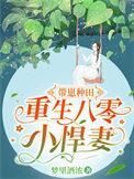 重生八零带娃撩军夫书海阁