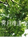 霁月难逢by子鹿txt