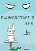 你成功引起了朕的注意英语