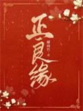 正良缘TXT提取码