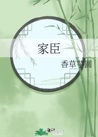 家臣杀鸡又宰羊是什么生肖