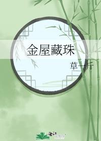 金屋藏珠免费阅读全文