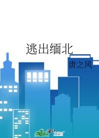 逃出缅北恶魔免费阅读