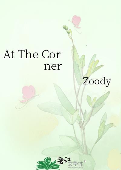 at the corner翻译