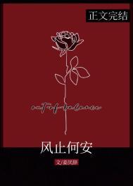 风止何安by姜厌辞免费