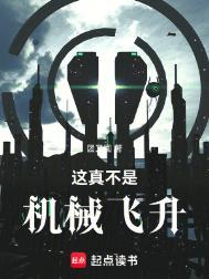 这真不是机械飞升精校版