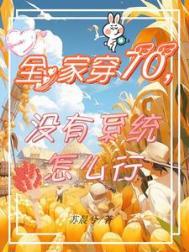 没有系统怎么行百度