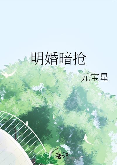 明婚暗抢by元宝星TXT