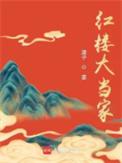 红楼大当家txt百度