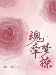 魂牵梦撩季煜辰