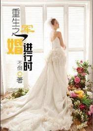 重生之军婚进行时H