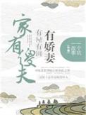 家有傻妻txt