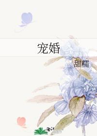 宠婚晚爱免费阅读全文